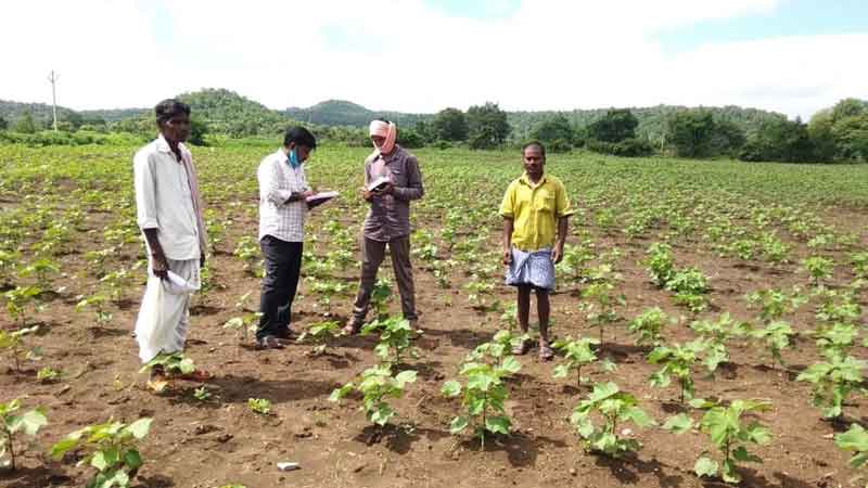 పక్కాగా.. సాగు లెక్క