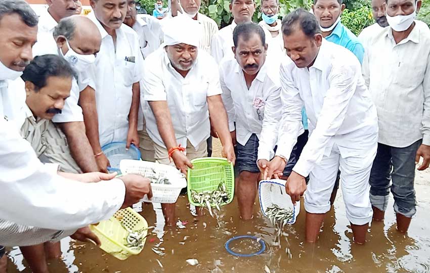 మత్స్యకారులకు చేతినిండా పని