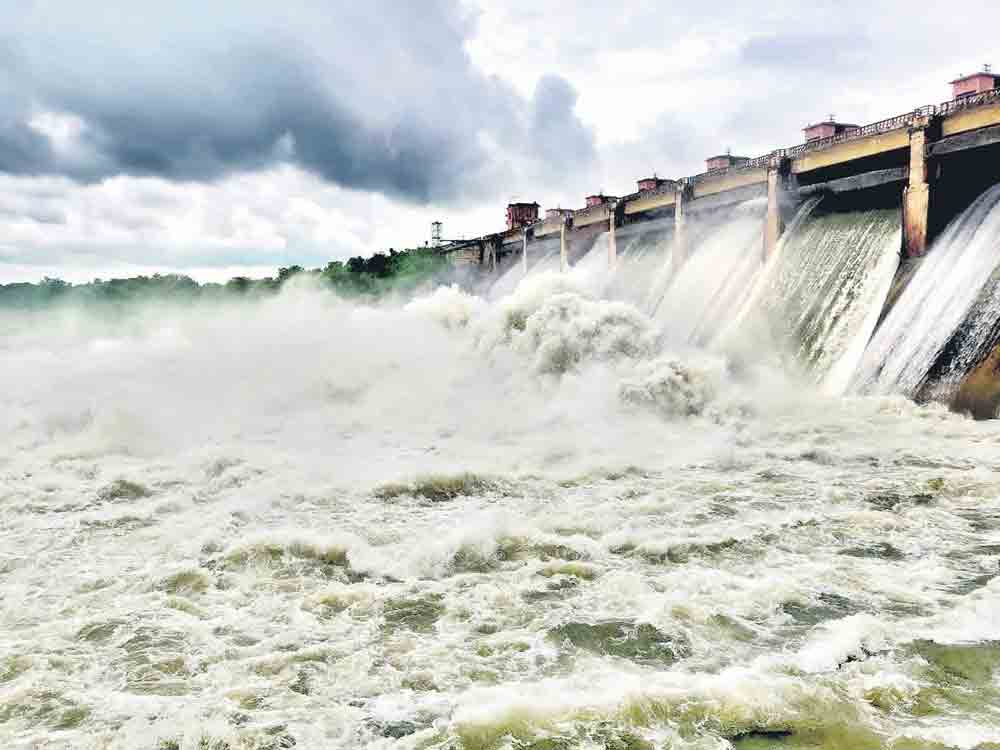 జలసవ్వడులు