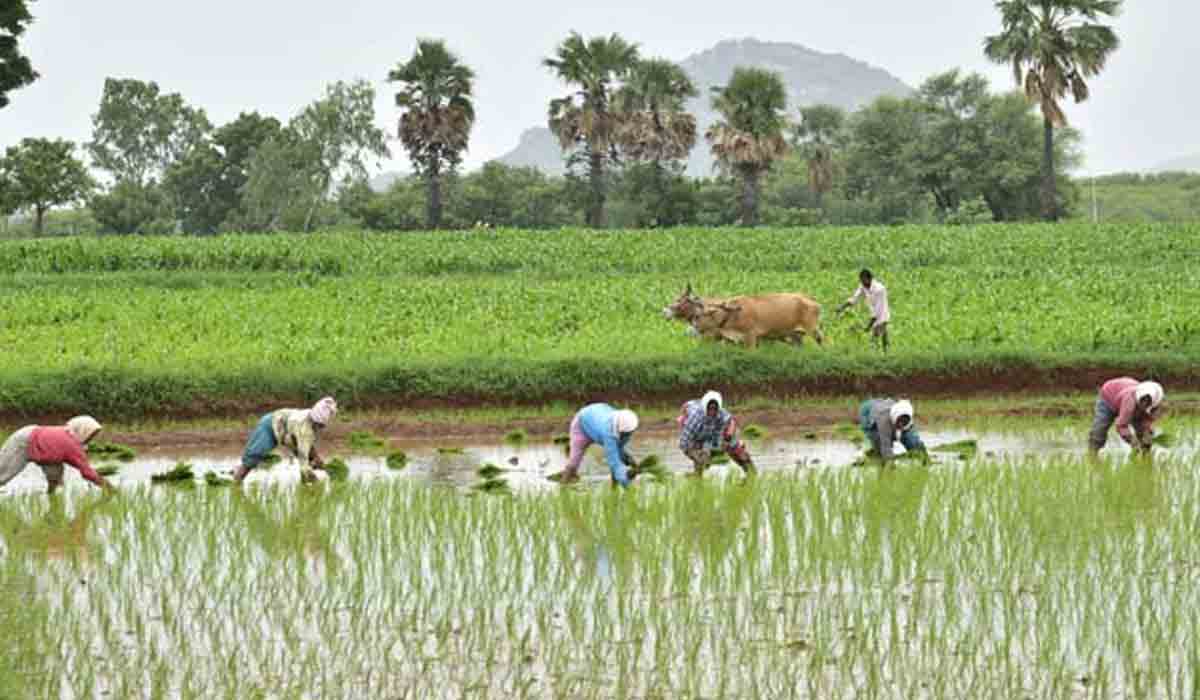 వ్య‌వ‌సాయ రంగంలో తెలంగాణ‌కు సెకండ్ ర్యాంక్.. మంత్రి కేటీఆర్ హ‌ర్షం