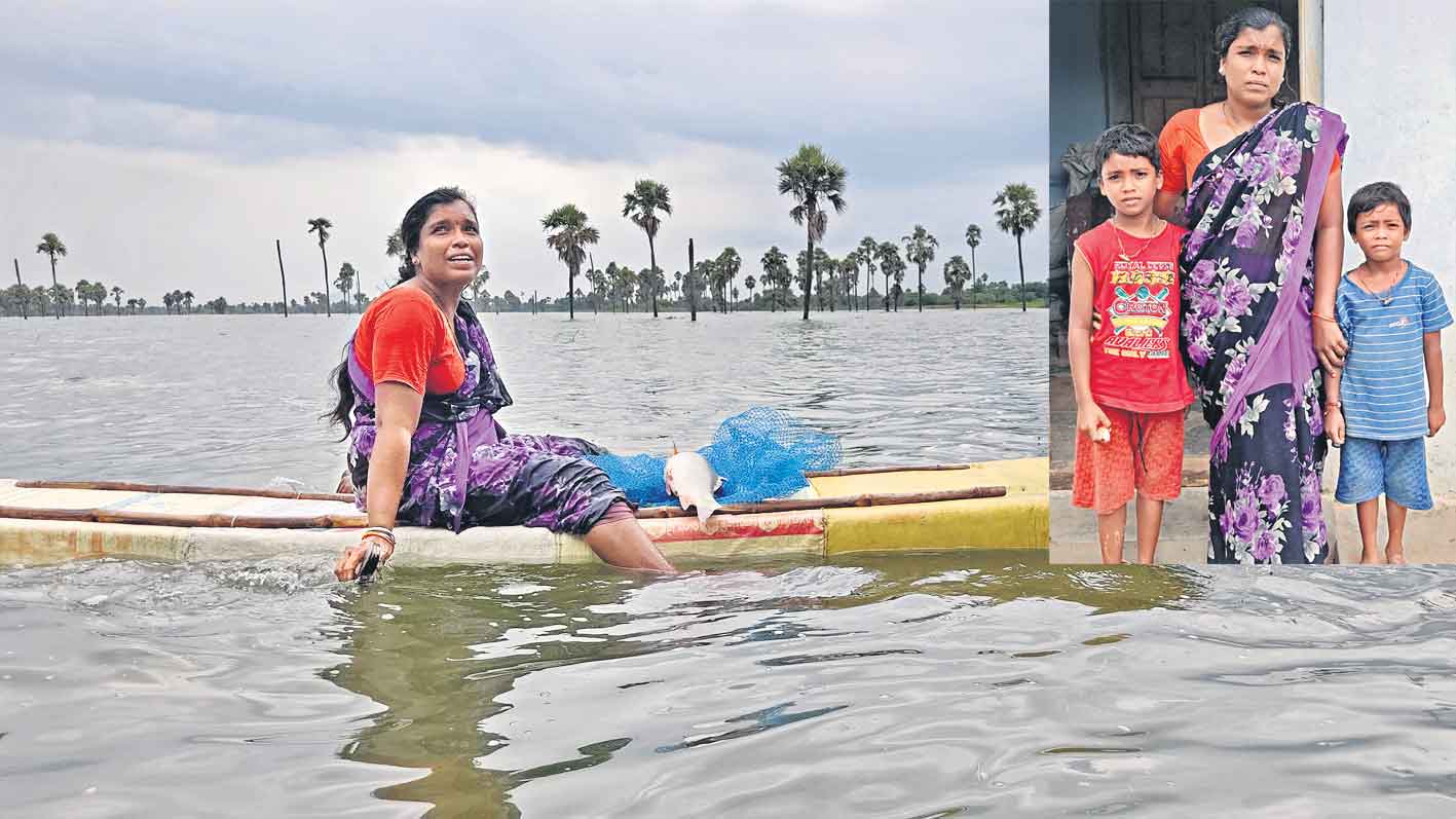 ‘ఏడు చేపల కథ’ కాదు!
