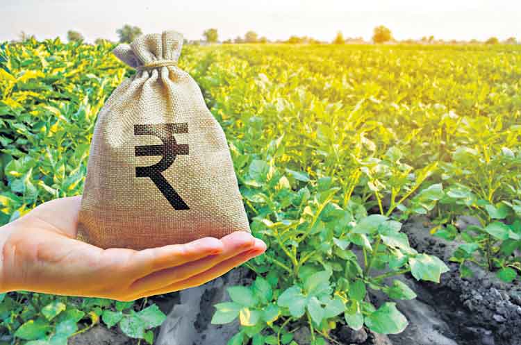 ఐదెకరాల్లో అద్భుత సేద్యం