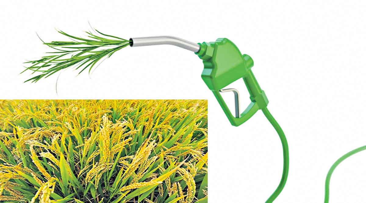 వరికి ఇథనాల్‌ ఎనర్జీ