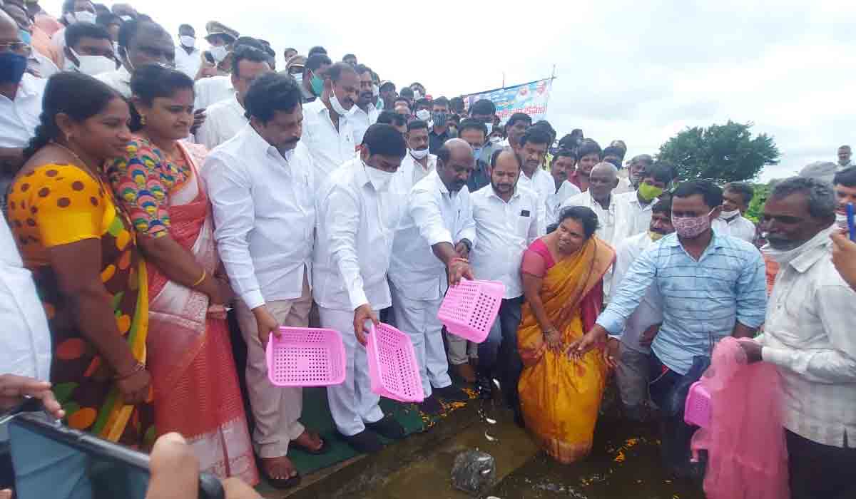 నకిరేకల్ చెరువులో చేప‌ల‌ను వ‌దిలిన‌ మంత్రి జగదీష్ రెడ్డి