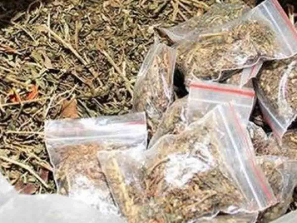 Warangal : ఖానాపురంలో గంజాయి పట్టివేత..