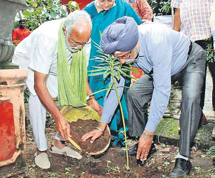 గ్రీన్ ఇండియా చాలెంజ్లో సిక్కు హెరిటేజ్ ఫౌండేషన్!