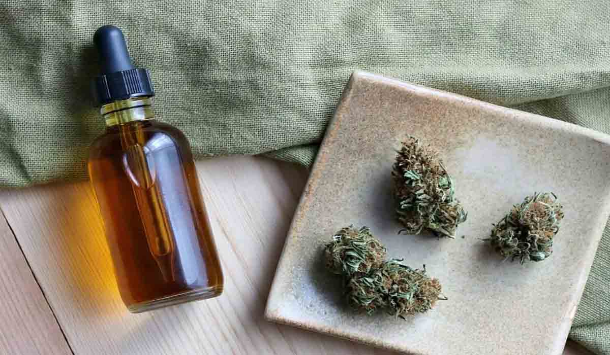 ముత్తంగి టోల్‌ప్లాజా వద్ద గంజాయి పట్టివేత