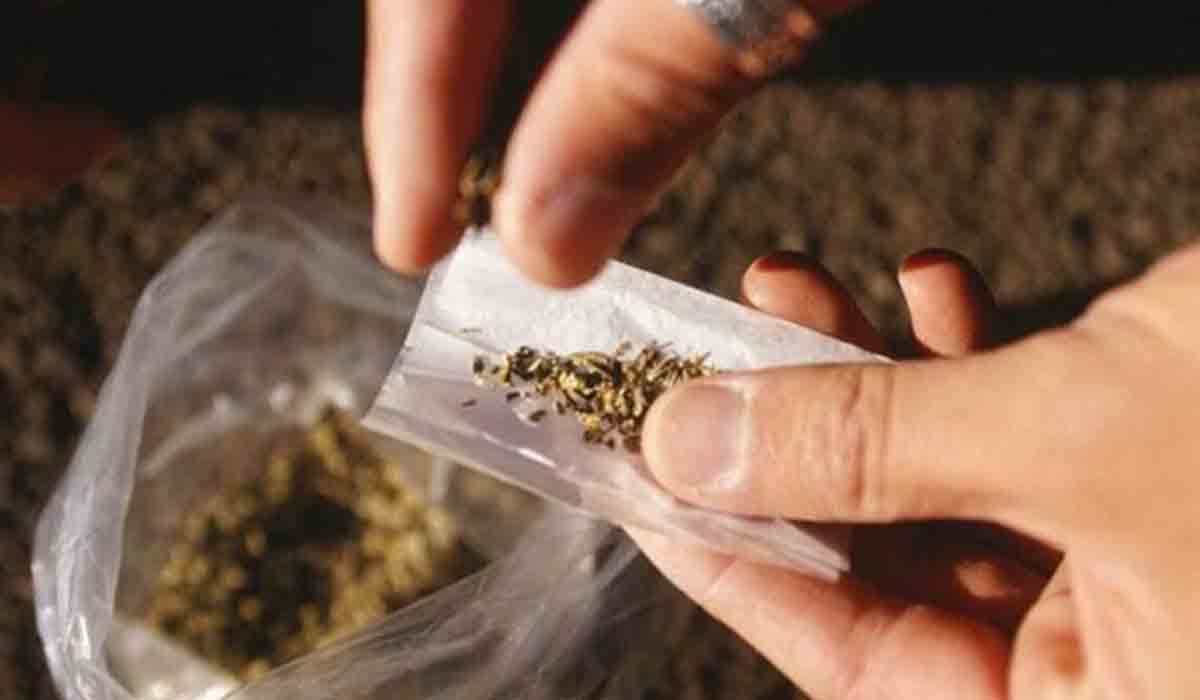 కోదాడలో భారీగా గంజాయి పట్టివేత