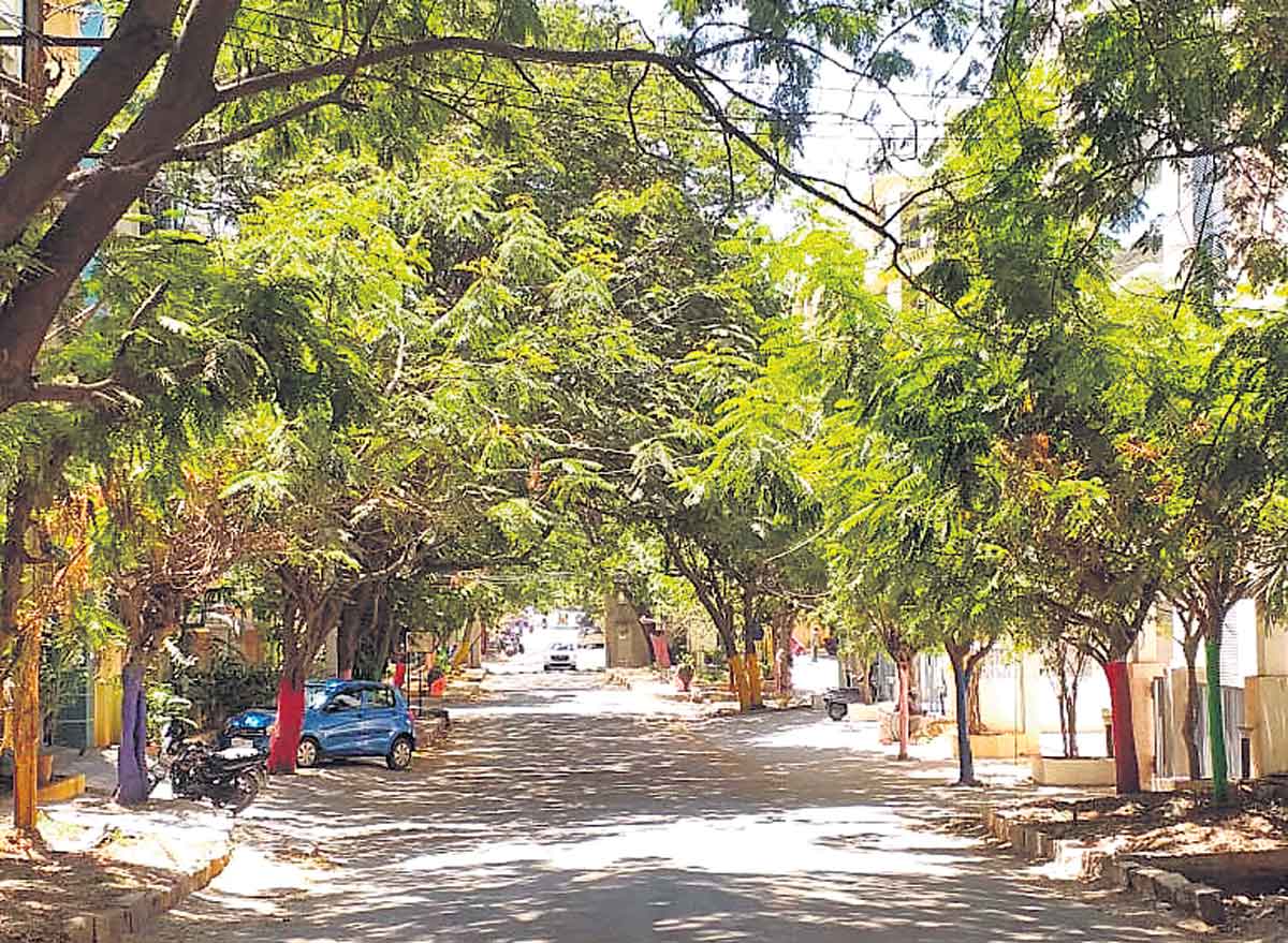 పచ్చని ముచ్చట