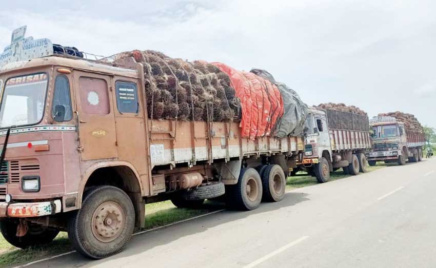 ఆయిల్‌ఫెడ్‌ సంస్థలో.. రవాణా ‘చార్జీల’ దందా