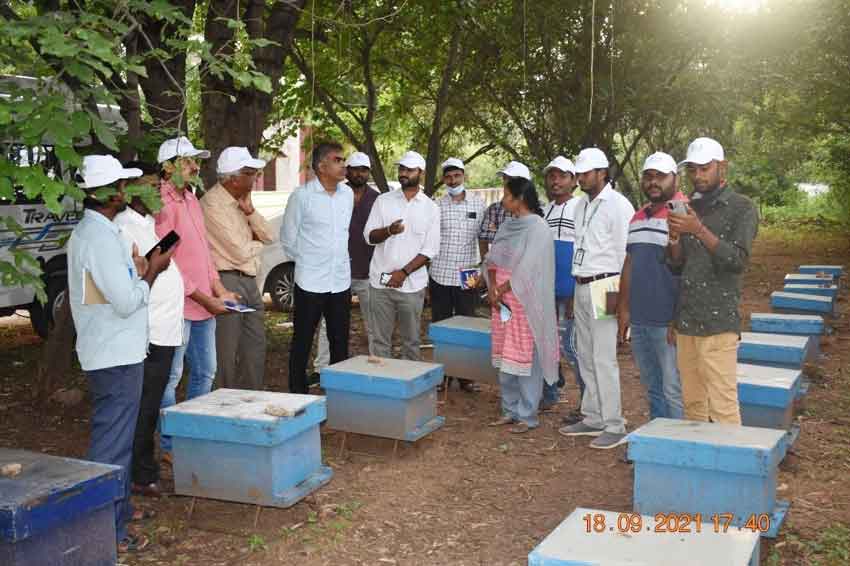 తేనె ఆదాయం పట్టు