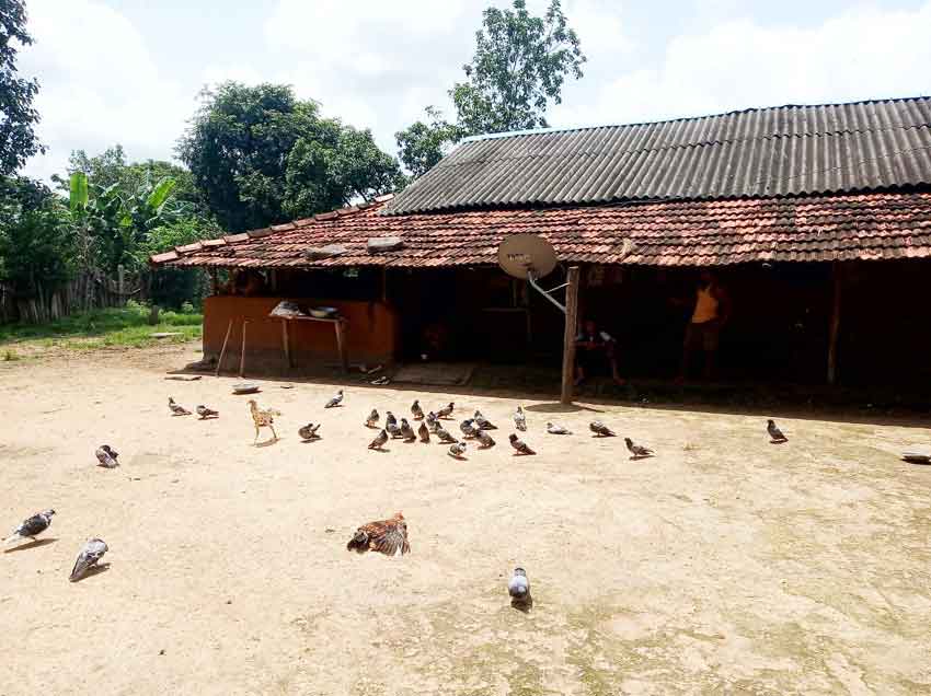 గూడేల్లో మౌలిక వసతులు