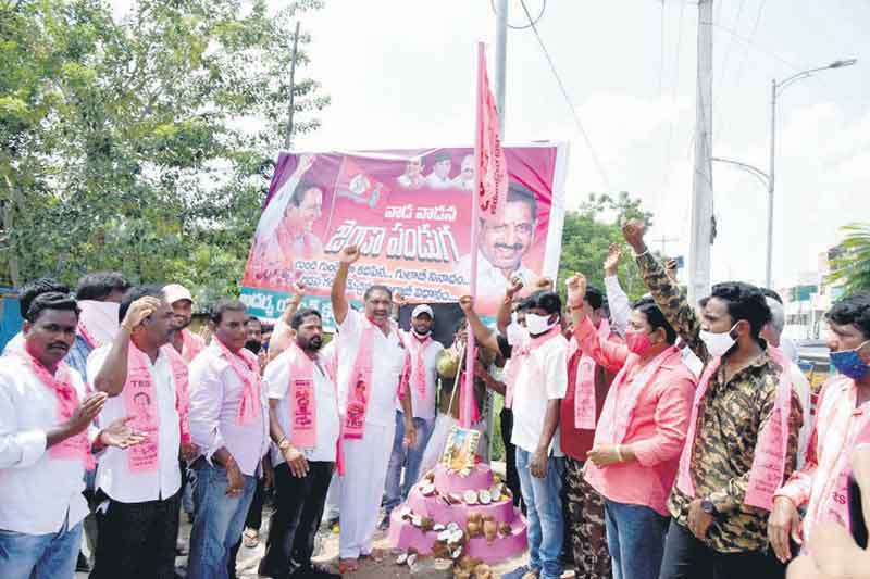 వాడవాడలా గులాబీ రెపరెపలు