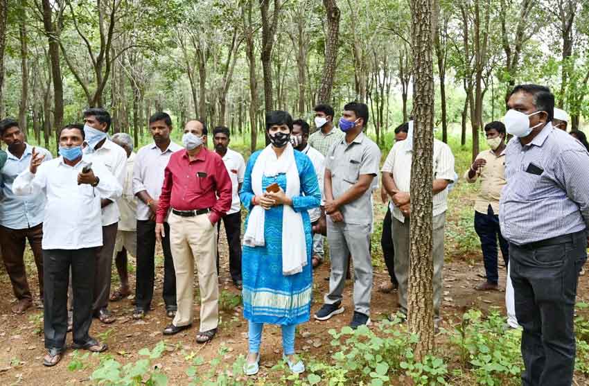 ఆయిల్‌పామ్‌ సాగు చేయాలి