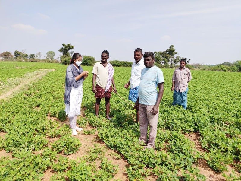 ముమ్మరంగా పంటల సర్వే
