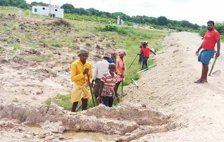 బృహత్‌ వనం