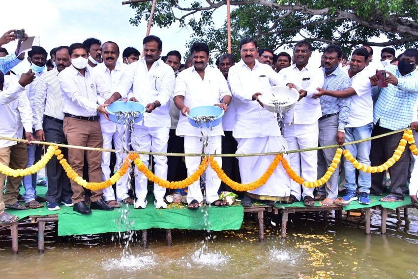 మత్స్య ఉత్సవం