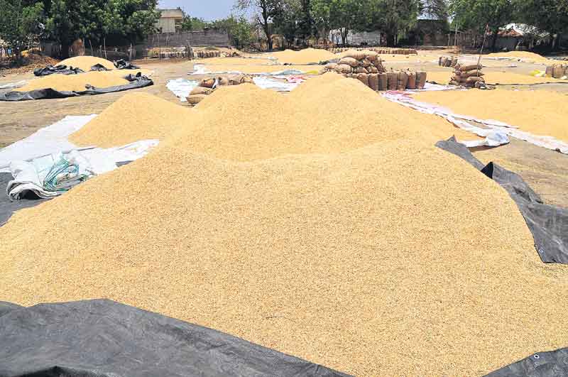 అరిగోసే..