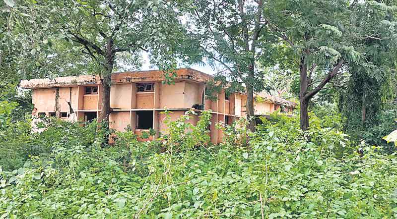 నల్లనేలకు నవశకం