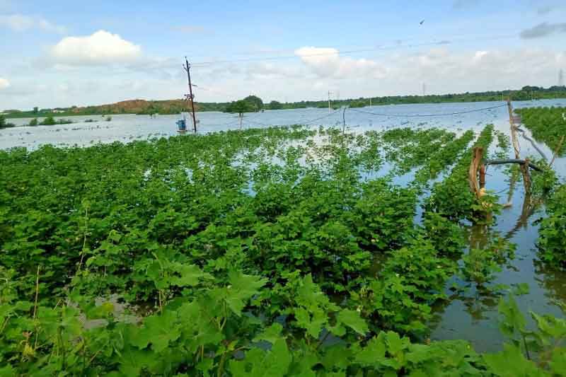 ఉగ్ర గోదావరి