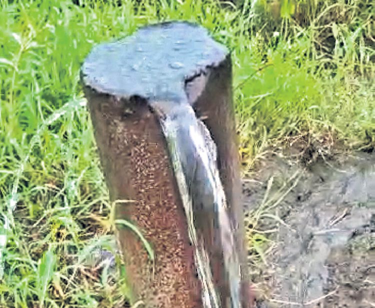 పెరుగుతున్న భూగర్భ జలమట్టాలు