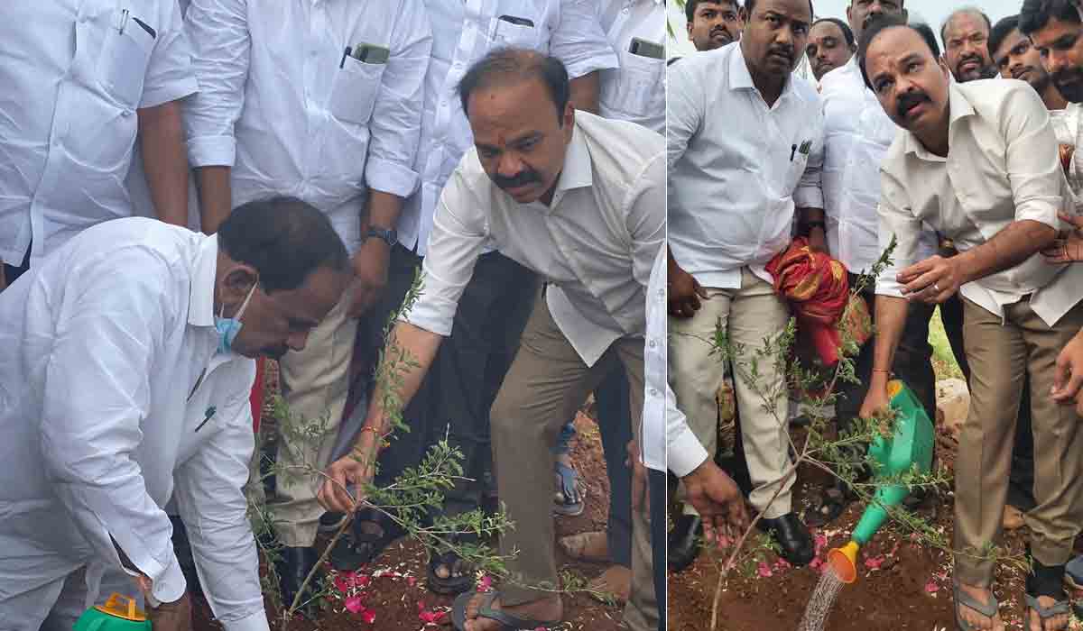 జమ్మిచెట్టు నాటిన ఎంపీ రంజిత్‌ రెడ్డి