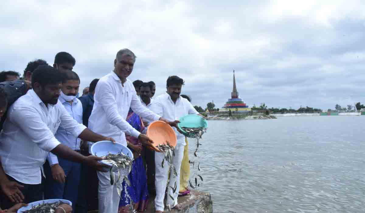 చేపలను ఎగుమతి చేసే స్థాయికి తెలంగాణ: మంత్రి హరీశ్‌ రావు