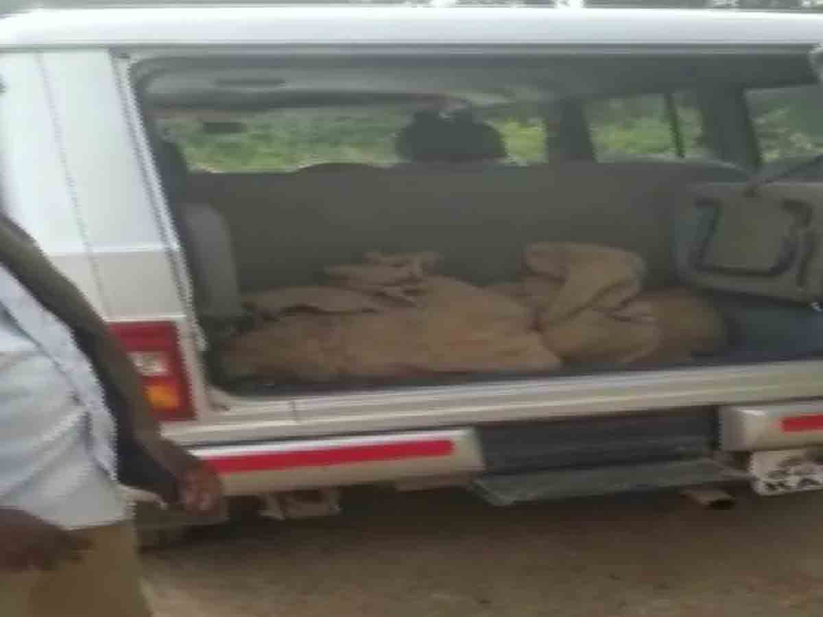 దారుణం.. విషమిచ్చి 20 కోతులను చంపిన వైనం