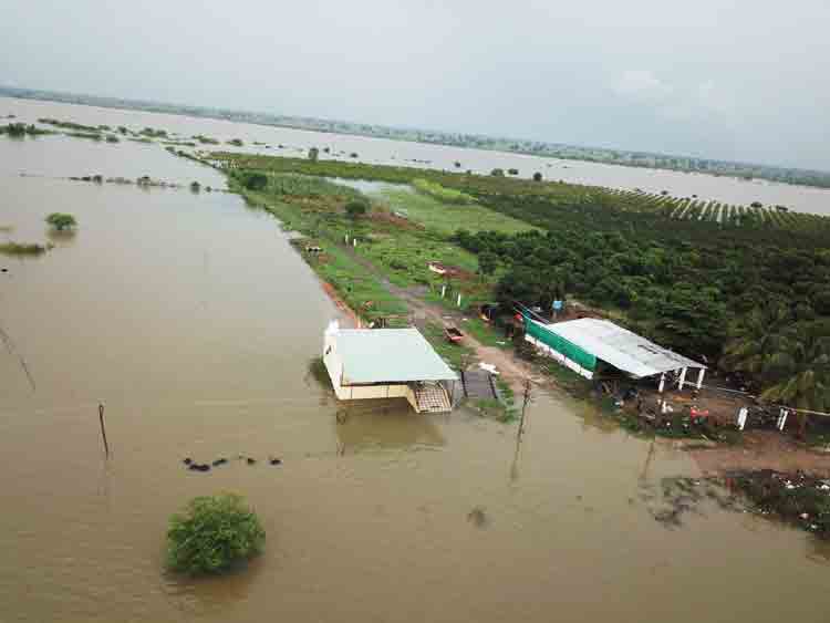 మంజీరా నది తీరా గ్రామాలకు వ రద ముప్పు