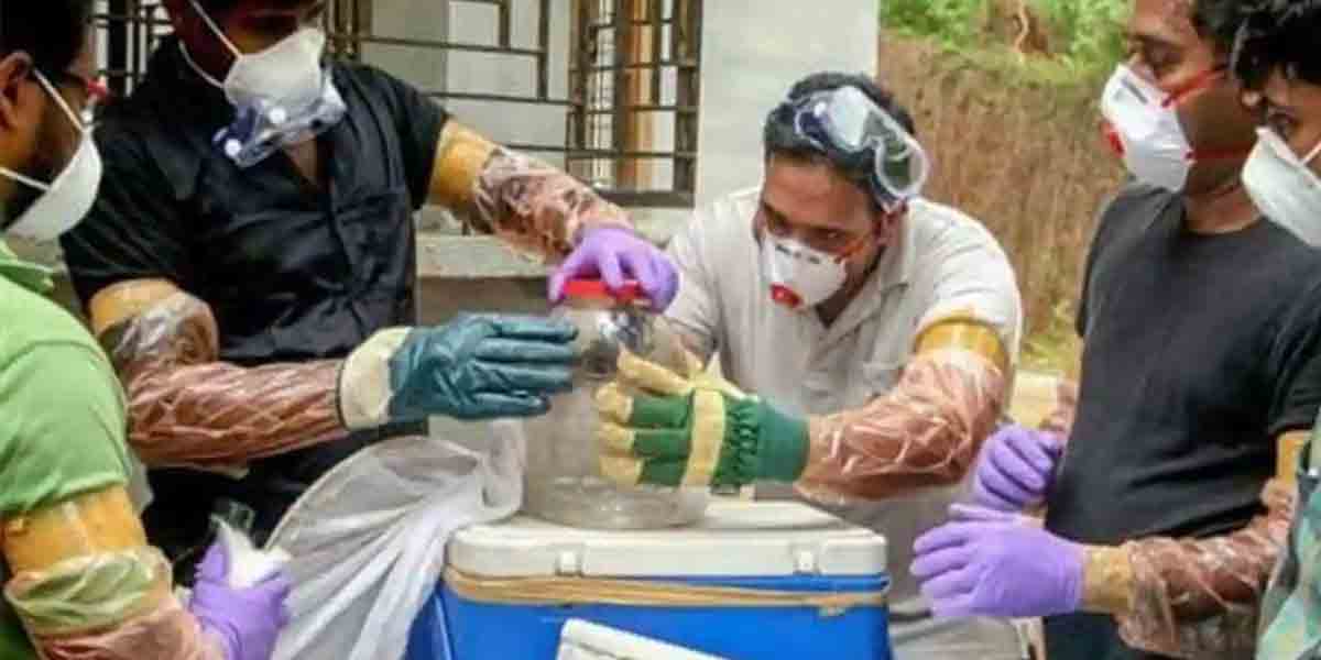 కేర‌ళ‌లో నిఫా వైర‌స్ క‌ల‌క‌లం.. ఆ రాష్ట్రానికి చేరిన‌ కేంద్ర బృందం..!