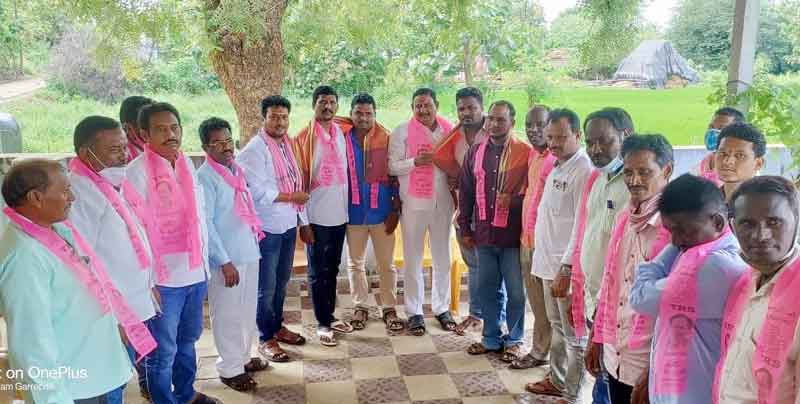 టీఆర్‌ఎస్‌ గ్రామ కమిటీల జోరు