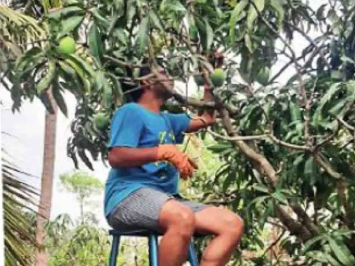 Corona Crisis | నాడు పైలట్‌.. నేడు చేతిలో చిల్లిగవ్వలేక వ్యవసాయం చేస్తున్నాడు!