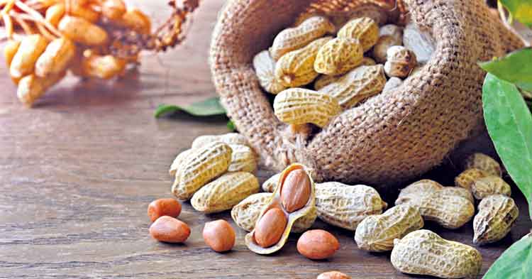 Health Tips | మీకు పల్లీలు తినే అలవాటు ఉందా? అయితే మీరు లక్కీ.. ఎందుకంటే..