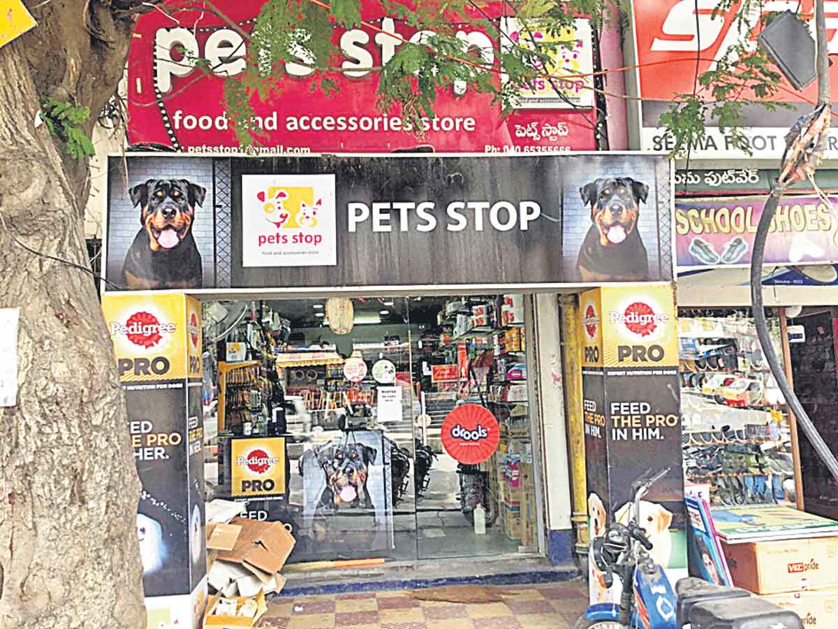 142 పెట్‌ షాపులకు నోటీసులు!