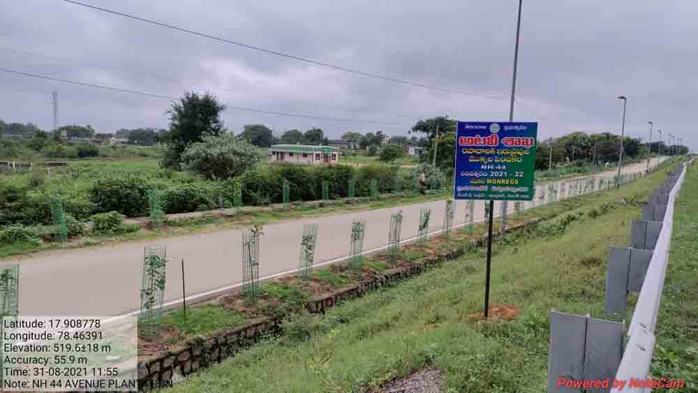 నందనవనంలా హైదరాబాద్‌-నాగపూర్‌ హైవే