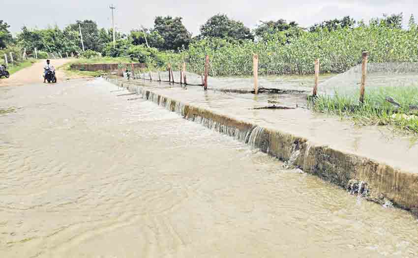 ఉమ్మడి జిల్లావ్యాప్తంగా మోస్తరు నుంచి భారీ వర్షాలు