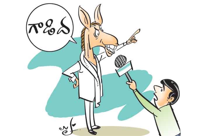 ఎవడు గాడిద!