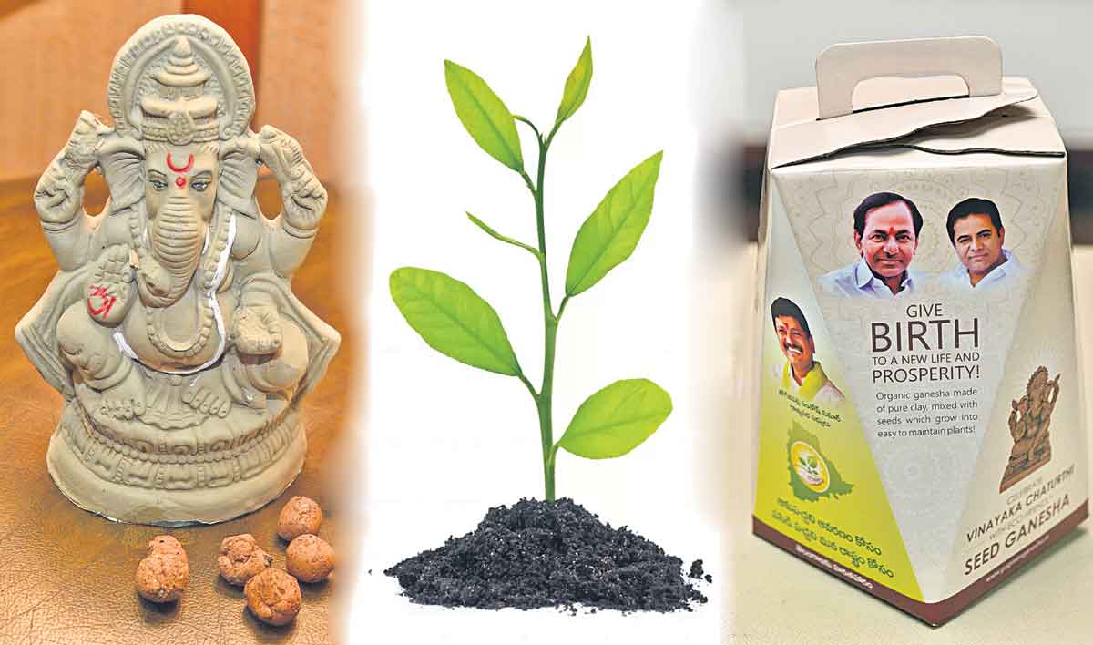Seed Ganesh | నేటి మొక్కులే.. రేపటి మొక్కలు