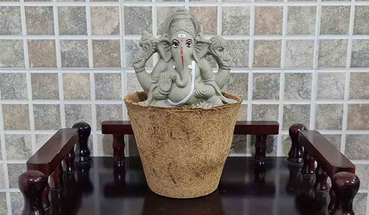 టీఆర్ఎస్ ఎంపీ సంతోష్కుమార్పై రామోజీ రావు ప్రశంసలు