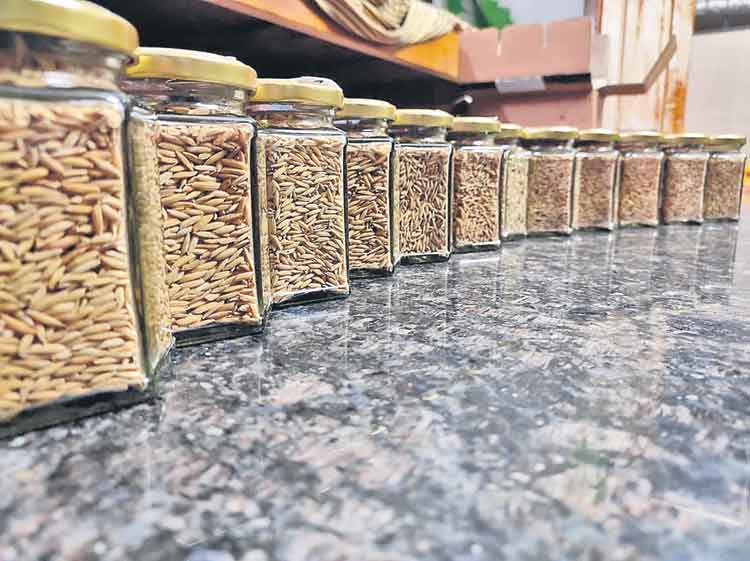 సీడ్‌బ్యాంక్‌గా రైతు వేదిక!