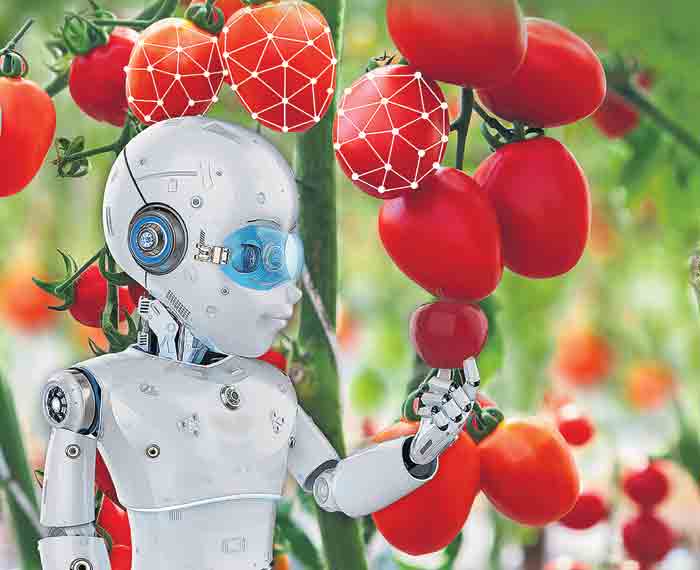 స్మార్ట్‌ గా సాగుదాం!