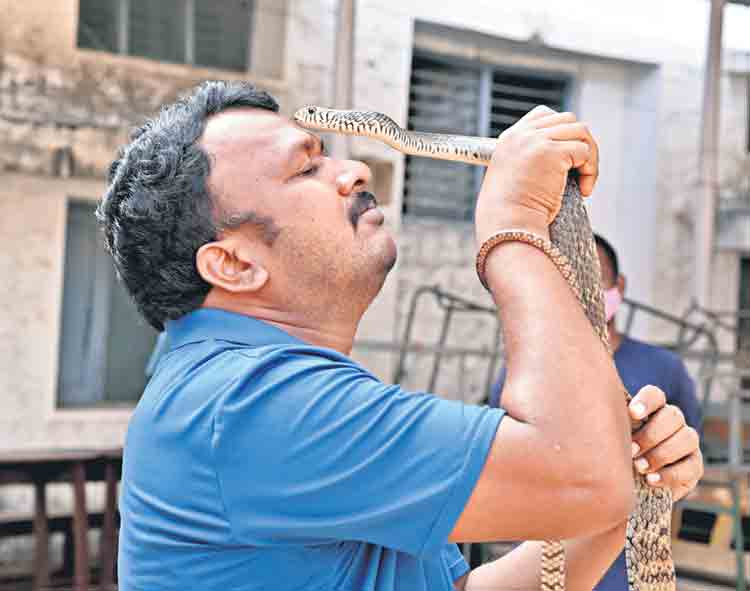 పాముకు.. ప్రేమతో!