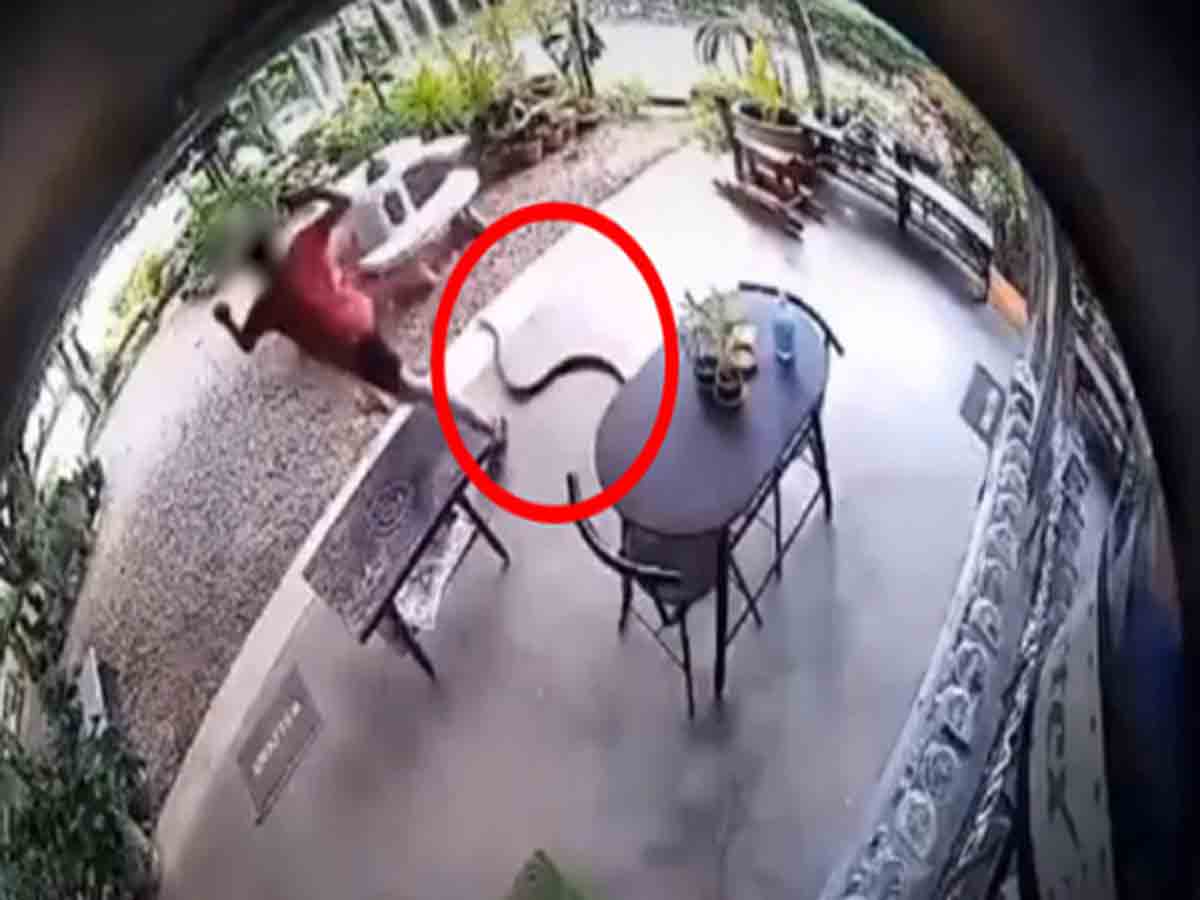 పాము వెంట పడటంతో.. పరుగులు తీసిన వ్యక్తి