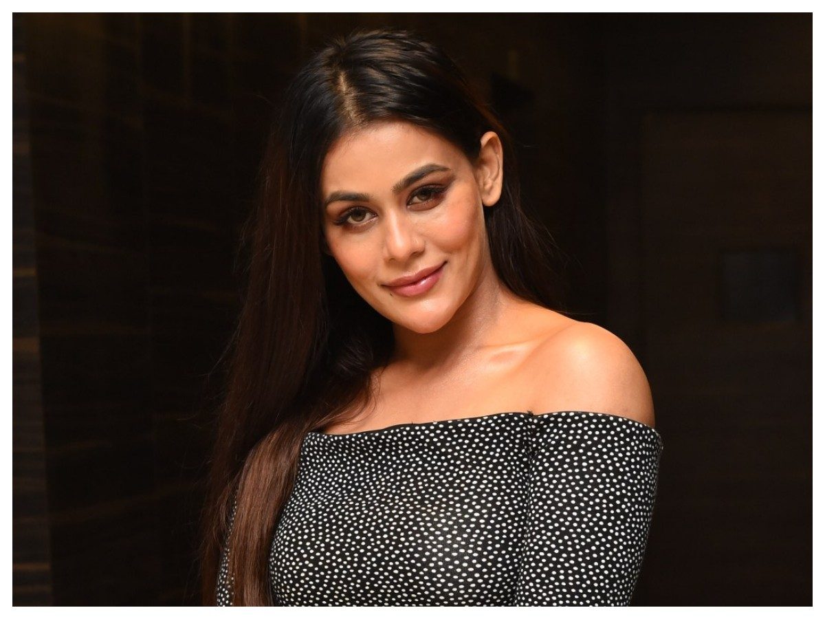 Sneha Gupta | గల్లీ రౌడీ మూవీ ప్రీ రిలీజ్ ఈవెంట్‌లో మెరిసిన స్నేహాగుప్తా