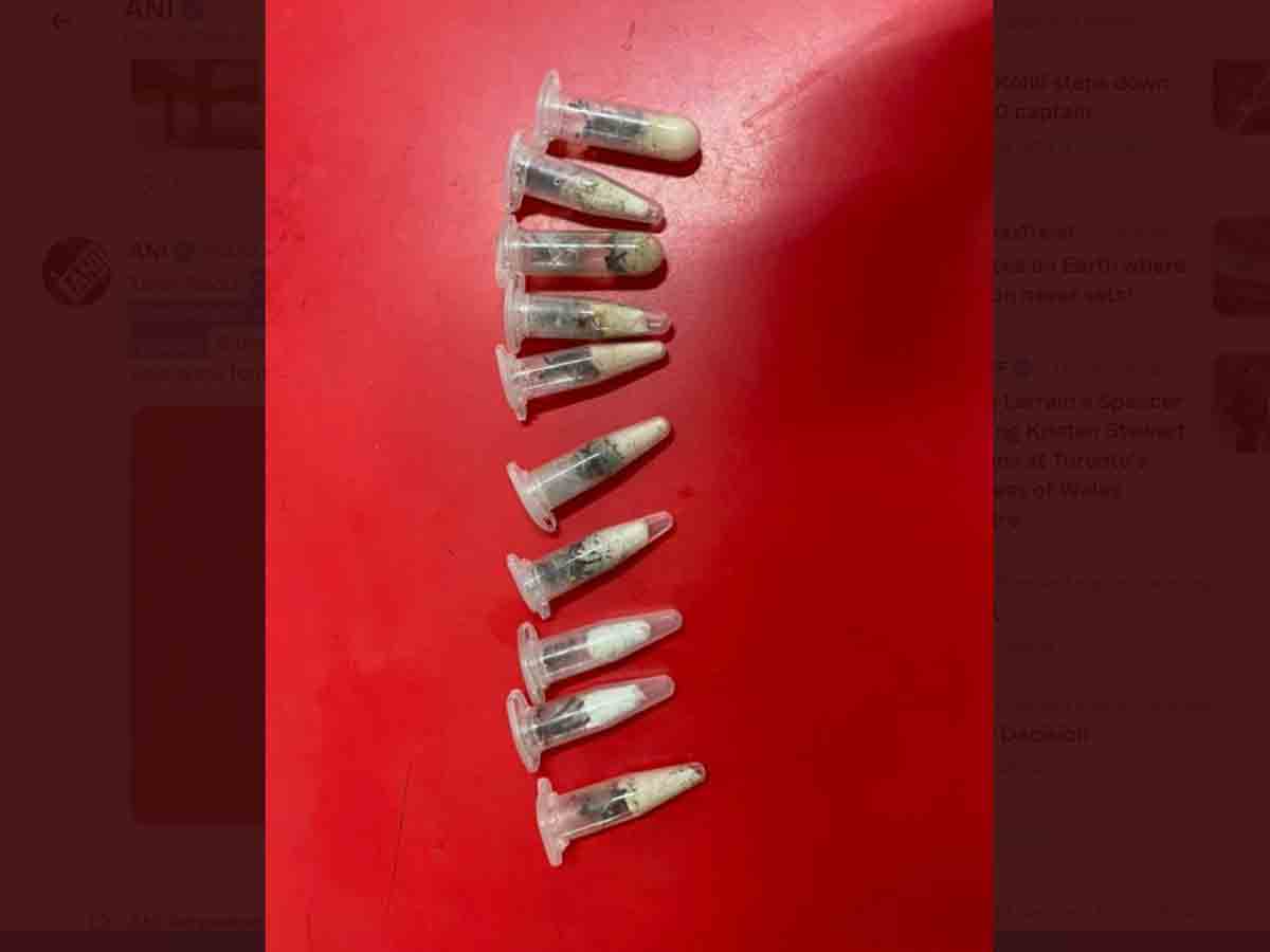 పోలాండ్‌ పార్సిల్‌లో.. భారీగా సాలీడులు