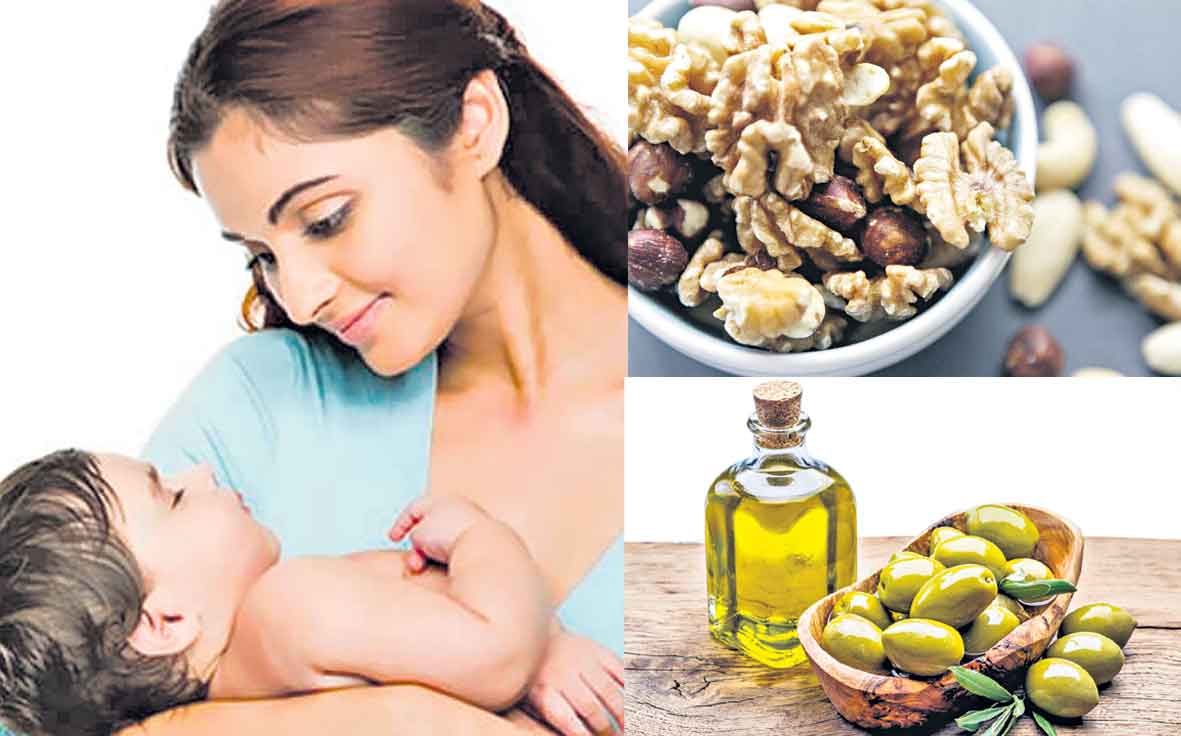 Protein Food For Fertility | సంతానోత్పత్తికి.. తోడ్పడే పోషకాఆహారం