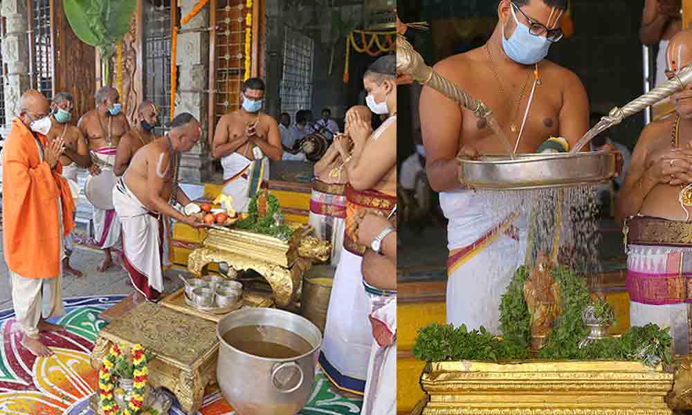 TTD | తిరుమలలో ఘనంగా వరాహస్వామి జయంతి