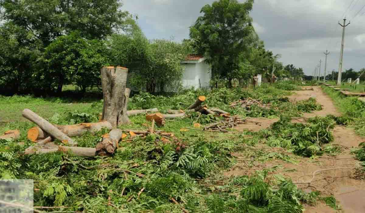 65 చెట్లు న‌రికివేత‌.. రియ‌ల్ట‌ర్‌కు రూ. 4 ల‌క్ష‌లు జ‌రిమానా