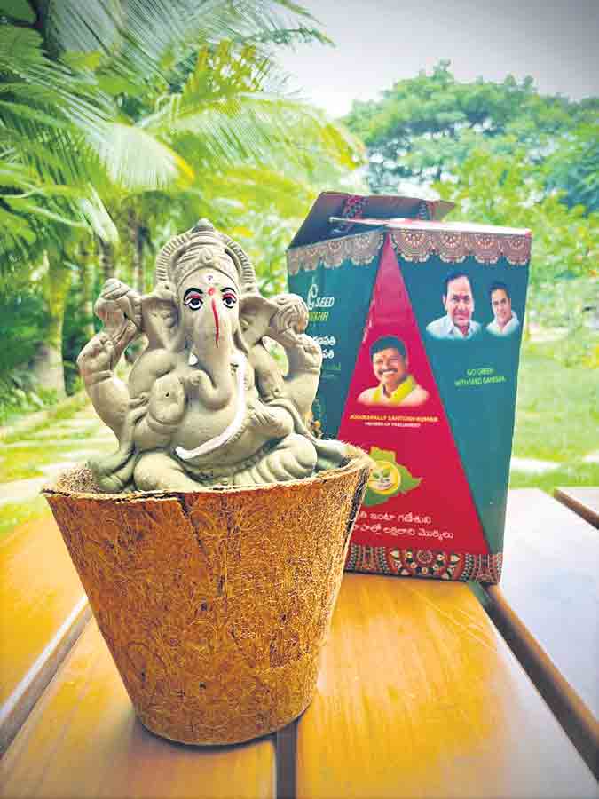 పచ్చదనమే పరమాత్మ!