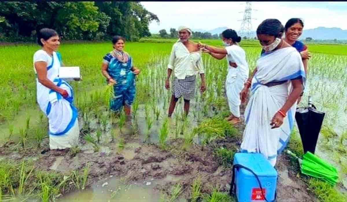 ఆ ఆరోగ్య కార్య‌క‌ర్త‌ల‌కు మంత్రి కేటీఆర్ అభినంద‌న‌లు